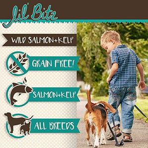 Lil' Bitz Tasty Training Treats, Wild Salmon + Kelp Dry Dog Treat